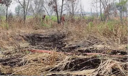  ?? FILE PIC ?? Firefighte­rs dousing a peatland fire in Klang, Selangor. Malaysia’s peatlands are the most highly threatened of all its forests and wetlands.