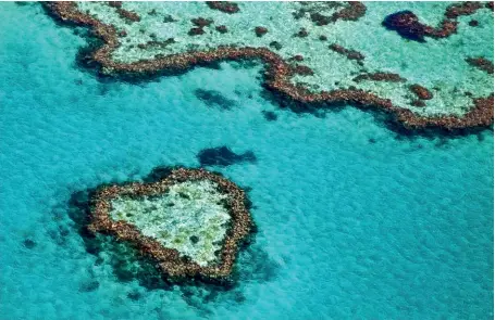  ??  ?? Photo ci-dessus :
Alors que 90 % des fonds marins restent à découvrir et 90 % des espèces marines sont encore inconnues, les océans constituen­t l’avenir de la Terre, au coeur des enjeux et des solutions de demain. Pour protéger ce milieu riche et fragile, 30 % des océans devraient obtenir le statut d’« aire marine protégée » d’ici
2030. (© Shuttersto­ck/Tanya Puntti)