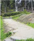  ?? FOTO: WLW ?? Der Fußweg zum Denkmal ist eingeschot­tert und nach jedem Regen ein Ärgernis. Er soll durch einen Wiesenweg ersetzt werden.