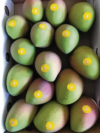  ?? PHOTO: FILE ?? INNOVATION: New technology will help improve mango growers’ supply chains.