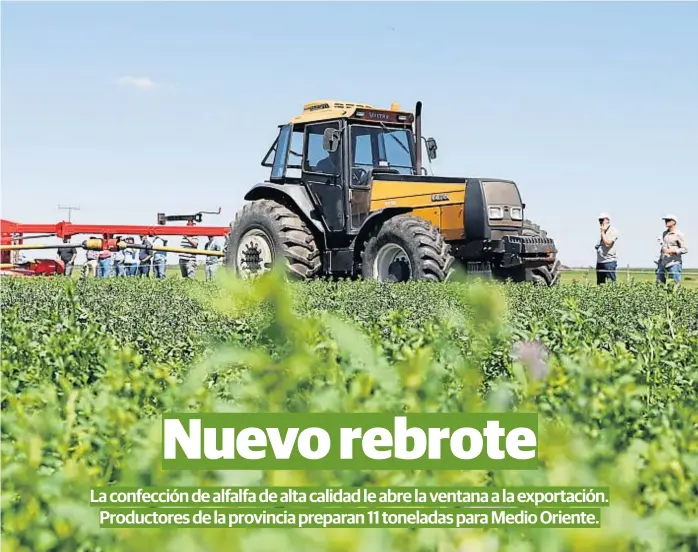  ?? (LUCAS CHAMORRO) ?? Confección. Corte de alfalfa en la zona de Río Segundo, durante la última jornada del Congreso Mundial del cultivo que se realizó esta semana en Córdoba.