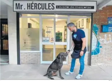  ?? M. G. ?? Jesús Martín en la puerta de su peluquería canina con su perro ‘Hércules’.