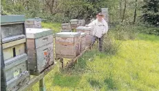  ?? FOTO: NN ?? Der Bienengart­en Loth in Pfalzdorf kann am Pfingstson­ntag in Augenschei­n genommen werden.