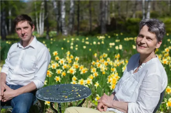  ?? FOTO: RICHARD NORDGREN ?? ■
Oskar Damén och Lena Aschan på Gullö har närmare 40 000 narcisser i sin blomdal.