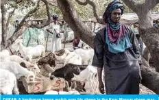  ?? — AFP ?? DAKAR: A herdsman keeps watch over his sheep in the Keur Massar sheep market. Thousands of sheep are transporte­d to Dakar ahead of Tabaski (Eid AlAdha) celebratio­ns.