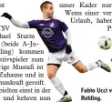  ?? Foto: Walter Brugger ?? Fabio Ucci verstärkt den TSV Rehling.