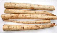  ??  ?? In Chinese medicine, burdock is considered a detoxifyin­g food that dissipates heat.