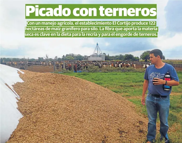  ?? (LA VOZ) ?? Integració­n. En El Cortijo, Sebastián Treachi desarrolla un modelo ganadero en campo agrícola, que incluye la producción de maíz granífero para silo.