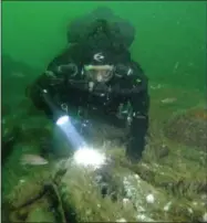  ?? TOM MCCARTHY—ASSOCIATED PRESS ?? This 2017photo provided by Tom McCarthy shows a diver exploring the wreck of the SS Oregon off the coast of Long Island in NewYork. An ale introduced at a New York craft beer festival on March 9, 2019, came with an intriguing backstory, brewed from yeast in beer that went down on a doomed steamship and languished on the ocean floor for 131years. Long Island brewer Jamie Adams created his new Deep Ascent ale using yeast from bottles he and fellow divers salvaged from the SS Oregon that sank off Fire Island in 1886.