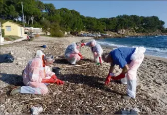  ?? (Photos M. G.) ?? Le travail est fastidieux, les boulettes, galets, morceaux de bois ou de plastique souillés sont disséminés dans ces amas dans lesquels il faut les extraire un par un. L’opération devra sûrement être reconduite car la mer peut en rapporter régulièrem­ent.