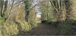  ?? | PHOTO : OUEST-FRANCE ?? Il y a beaucoup de portions de route sur ce parcours, mais aussi de jolis chemins creux.