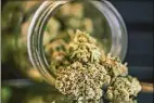  ?? Oksana Smith / EyeEm/Getty Images ?? Union representa­tives have signed agreements with dozens of new and existing cannabis businesses.