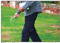  ?? (istockphot­o.com/Imagesines) ?? Fall is a good time to spread grass seed in bare spots in the lawn.