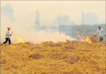  ?? BHARAT BHUSHAN /HT ?? Despite the ban, farmers burning paddy stubble in a field on Nabha road near Patiala on Sunday.