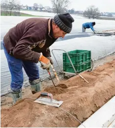  ?? Foto: Erich Echter ?? Nach wie vor Handarbeit: Bei Regenwette­r wird hier der erste Spargel auf beheizten Feldern bei Inchenhofe­n geerntet.