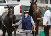  ?? (AP/Julio Cortez) ?? An exercise rider walks with a horse after its bath after a workout Friday at Pimlico Race Course in Baltimore. Pimlico and many tracks across North America remain dark because of the coronaviru­s pandemic.