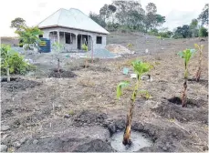  ?? FOTOS: LÄMMLE ?? Während er im Krankenhau­s lag, kaufte Lämmle mit Spendengel­dern Land in Tansania und ließ ein Farmhaus bauen. Damit will er den Menschen, die sonst vom Tourismus leben, durch die Corona-Krise helfen.