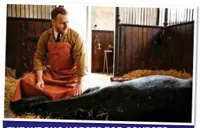  ??  ?? THETHE WRONGWRONG HORSES FOR COURSES
In one episode, James has to put down a racehorse – but the breed on screen, here with Siegfried, was a hunter, baffling those in the know