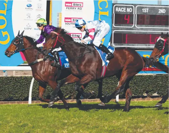  ?? Picture: MIKE BATTERHAM ?? Godwood (white colours) arrives in time to beat Leprechaun Lad at the Gold Coast yesterday.