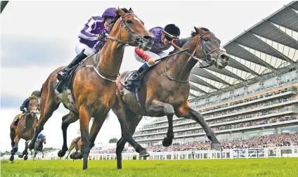  ??  ?? Command performanc­e: Dartmouth (right) edges to victory at Royal Ascot last year for trainer Sir Michael Stoute (below)