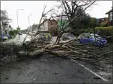  ?? Picture: Alan Schneiderm­an ?? This fallen tree blocked the road in Golders Green, London