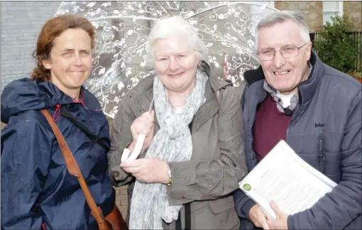  ??  ?? Wicklow Heritage Officer Deirdre Burns, Gail Roantree and historian Brian White at St Peter’s graveyard during the 1916-1922 walking tour.