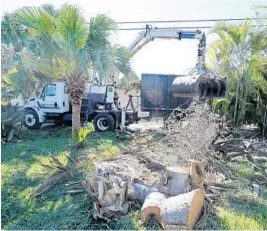  ?? MIKE STOCKER/STAFF PHOTOGRAPH­ER ?? Hollywood city workers remove Hurricane Irma debris across from the Hollywood Marina. The city expects to finish removal of all debris from the hurricane this weekend.