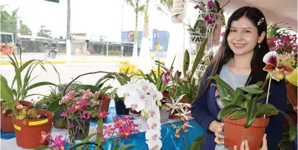 Orquídeas y bonsái en un solo lugar - PressReader
