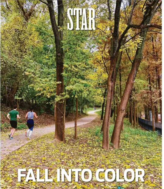  ?? Jill Karnicki / Staff photograph­er ?? The trees in Buffalo Bayou Park give a pair of runners a colorful view as they make their way down a path near Johnny Steele Dog Park.