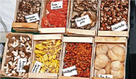  ?? FOTO: DPA ?? Verschiede­ne Speisepilz­e auf einem Markt. In Krefeld soll ein Händler giftige oder verdorbene Pilze angeboten haben.