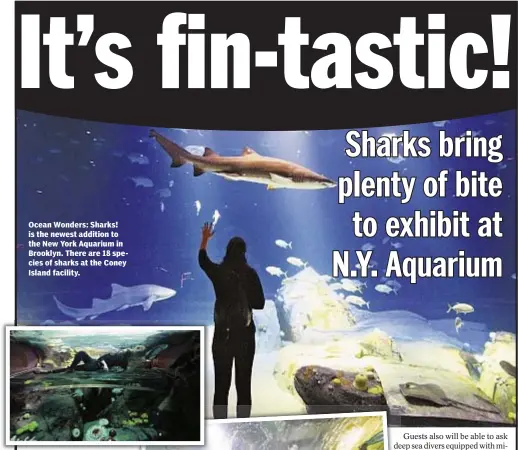  ??  ?? Ocean Wonders: Sharks! is the newest addition to the New York Aquarium in Brooklyn. There are 18 species of sharks at the Coney Island facility.