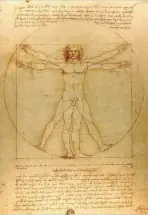  ??  ?? El hombre de Vitruvio de Leonardo da Vinci.