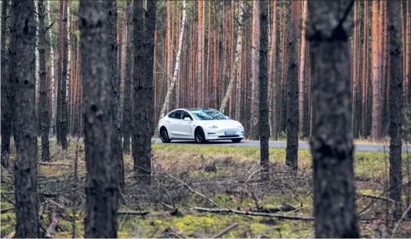  ??  ?? Ein Tesla Model 3 im Wald bei Grünheide