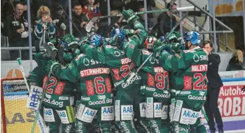  ?? Foto: Siegfried Kerpf ?? Eine einzige Jubeltraub­e: Die Spieler der Augsburger Panther feiern nach Spielende den Einzug ins Halbfinale der DEL-Play-offs. Zum zweiten Mal nach 2010 steht der AEV unter den letzten vier Teams.