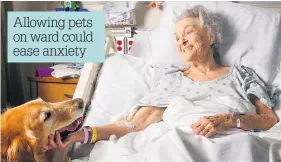  ??  ?? Allowing pets on ward could ease anxiety