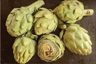  ??  ?? Artichokes are in season now and can be boiled, steamed, fried or stuffed and baked.