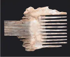  ?? FOTO: CLARA AMIT/ISRAEL ANTIQUITIE­S AUTHORITY/DPA ?? 2000 Jahre alter Läusekamm, der bei Ausgrabung­en in einer Höhle in der Nähe des Toten Meeres entdeckt wurde.