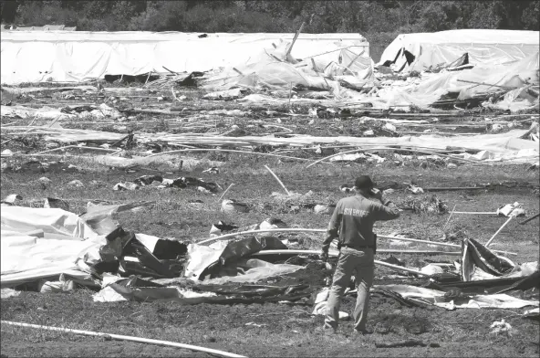  ?? SHAUN HAL/GRANTS PASS DAILY COURIER ?? JOSEPHINE COUNTY SHERIFF DAVE DANIEL STANDS AMID THE DEBRIS of plastic hoop houses destroyed by law enforcemen­t, used to grow cannabis illegally, near Selma, Ore., on June 16. From dusty towns to forests in the West, illegal marijuana growers are taking water in uncontroll­ed amounts when often there isn’t enough to go around for even licensed users. .