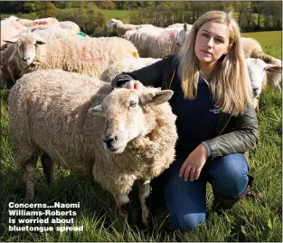  ?? ?? Concerns...Naomi Williams-Roberts is worried about bluetongue spread