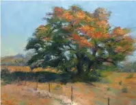  ??  ?? Roadside Oak, oil on canvas, 18 x 24"