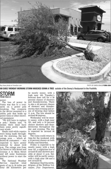  ?? Buy these photos at YumaSun.com PHOTO BY MARA KNAUB/YUMA SUN ?? AN EARLY MONDAY MORNING STORM KNOCKED DOWN A TREE outside of the Denny’s Restaurant in the Foothills.