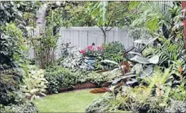  ??  ?? Private getaway: Mr Kiriaev has transforme­d his lawn into an oasis.
