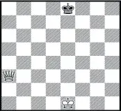  ??  ?? Puzzle A. How many different checks are possible in one move by the White Queen?
