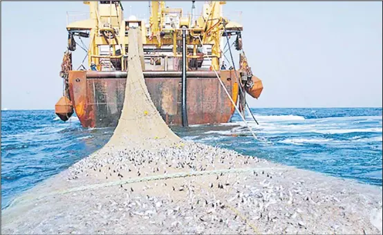 ?? Picture: www.iwnsvg.com ?? IUU fishing is a global problem that threatens ocean ecosystems and sustainabl­e fisheries.
