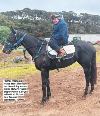  ?? ?? Former champion jockey Brent Thomson has been riding work at Ciaron Maher's Fingal property after a 24-year sabbatical. Picture: New Zealand Bloodstock/Twitter.