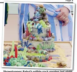  ??  ?? Showstoppe­r: Rahul’s edible rock garden last night