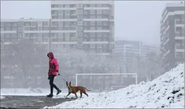  ?? FOTO: YURIY DYACHYSHYN/ RITZAU SCANPIX ?? En kvinde lufter sin hund i Lviv. Vinteren kan blive lang for alle europæere.