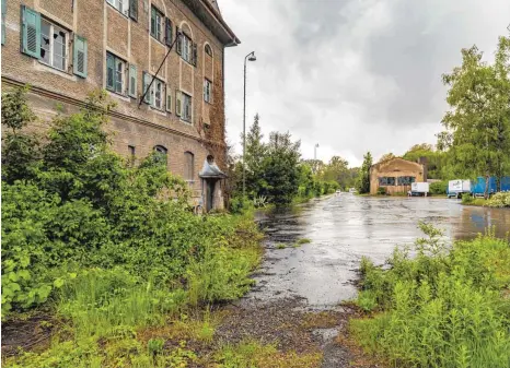  ?? FOTO: CHRISTIAN FLEMMING ?? Dieses Grundstück zwischen Eisenbahnl­inie und Eichwald ist Streitgege­nstand zwischen Ulrich Joeckel und Stadtverwa­ltung.