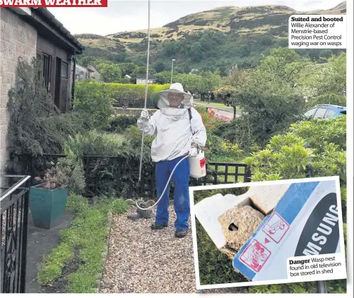  ??  ?? Suited and booted Willie Alexander of Menstrie-based Precision Pest Control waging war on wasps Danger Wasp nest found in old television box stored in shed