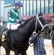  ?? The Sentinel-Record/RICHARD RASMUSSEN ?? After winning the Smarty Jones Stakes on Jan. 16 at Oaklawn Park, jockey Channing Hill and Unconteste­d will look to pick up another victory at the track in today’s $500,000 Southwest Stakes.